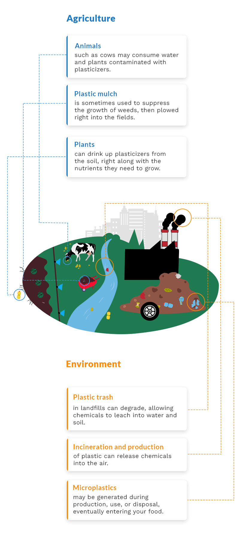 Plastics into food